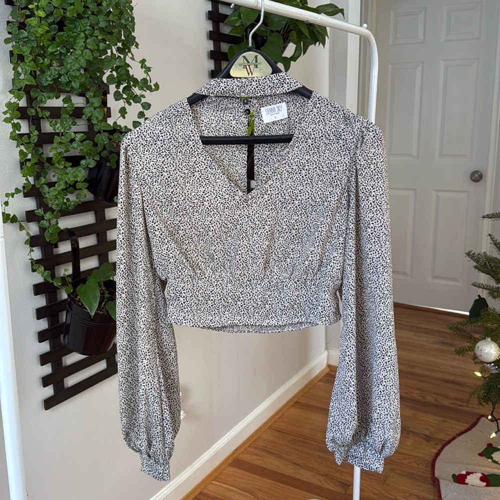Cute Cropped Blouse